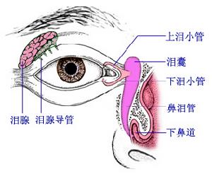 泪道堵塞的探通方法