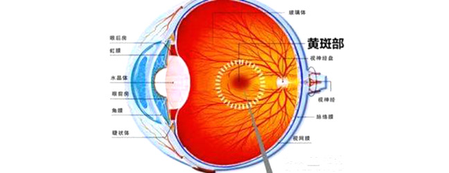 眼睛看东西有黑影_眼睛看东西有重影_模糊_变