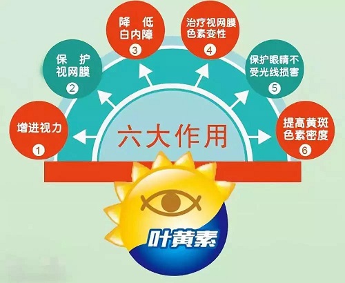 叶黄素可以保护视力吗？