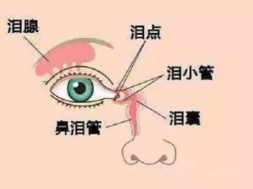 什么是泪囊炎？