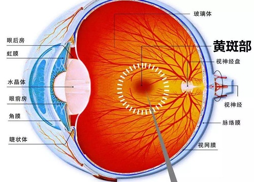 什么是眼球震颤？